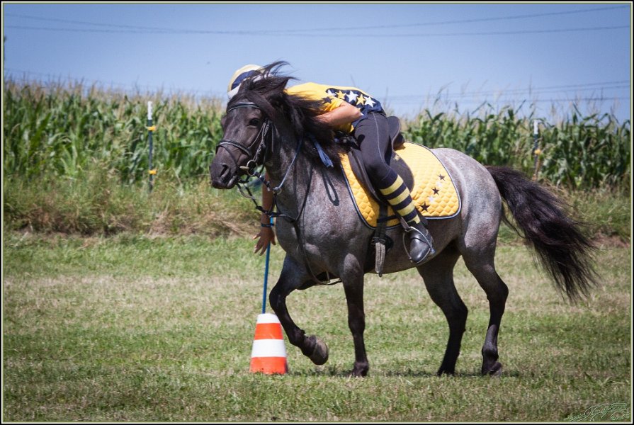 Mounted Games 159